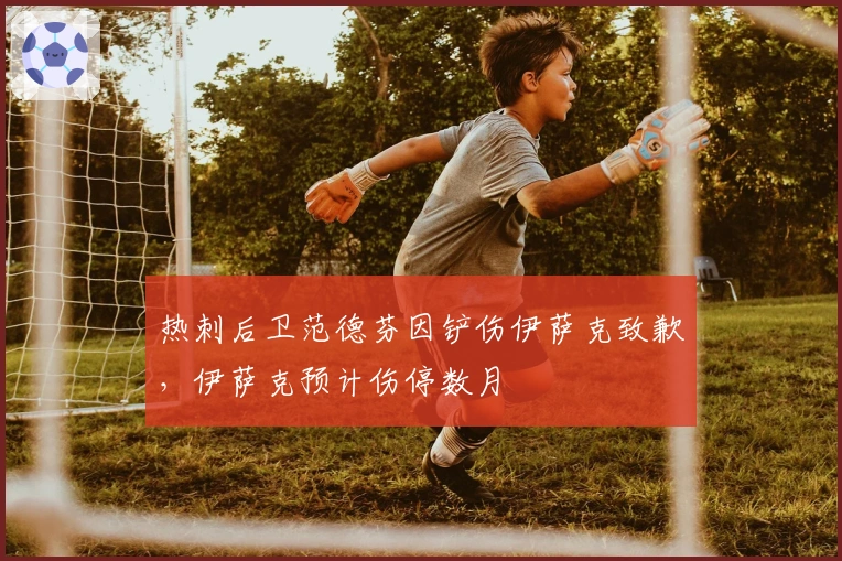 热刺后卫范德芬因铲伤伊萨克致歉，伊萨克预计伤停数月