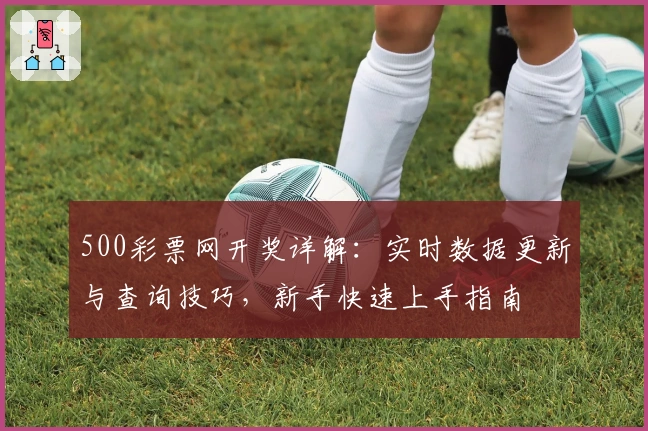 500彩票网开奖详解：实时数据更新与查询技巧，新手快速上手指南